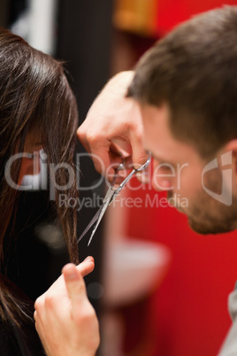 Portrait of a male hairdresser cutting hair