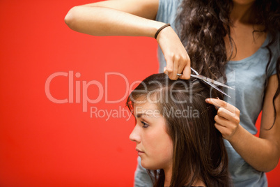 Student hairdresser cutting hair