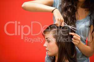 Student hairdresser cutting hair