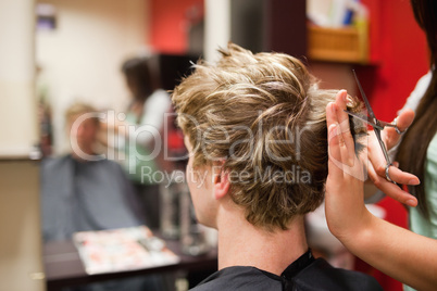 Blond-haired man having a haircut