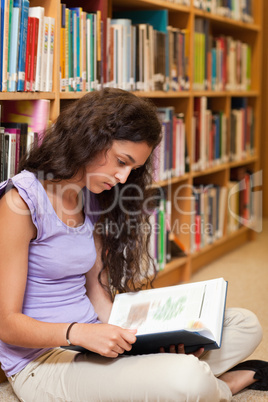 Portrait of a student reading a book