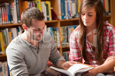 Young students reading a book