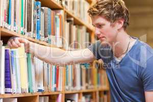 Male student choosing a book