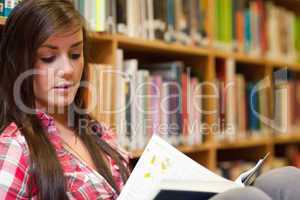 Female student reading