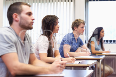 Studious young adults listening a lecturer