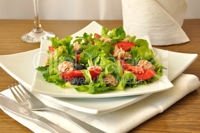 Salad with tuna, vegetables and mint
