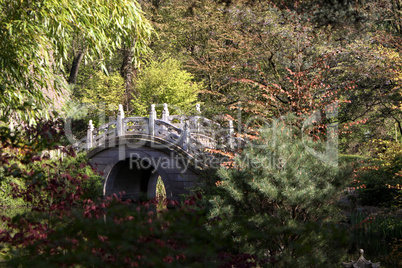 Brücke in einem japanischen Garten