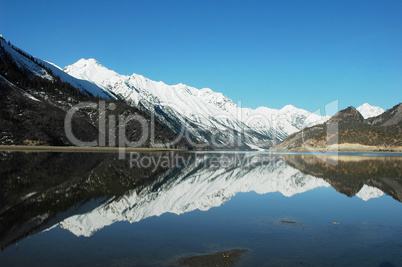 Landscape in winter