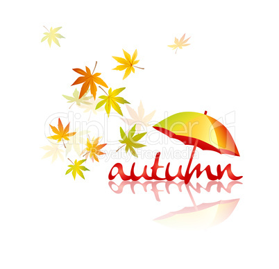 Autumn leaves with umbrella - Herbstblätter mit Regenschirm