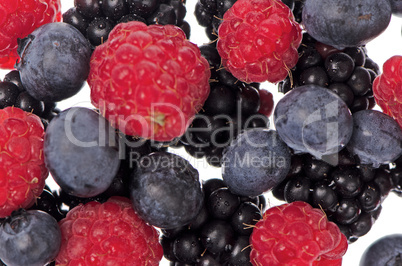 Mixed red fruits