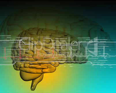 Brain in digital background