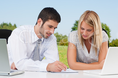 Business colleagues in nature with laptop write