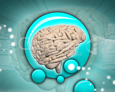 Brain in abstract background