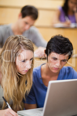 Portrait of students working with a laptop