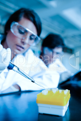 Portrait of a scientist dropping liquid in test tubes