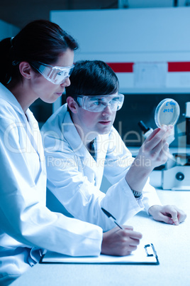 Portrait of scientists looking at Petri dish