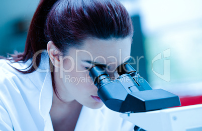 Young scientist using a microscope