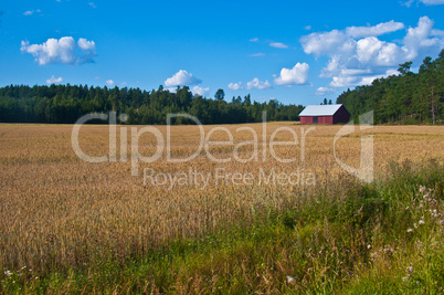 Red barn