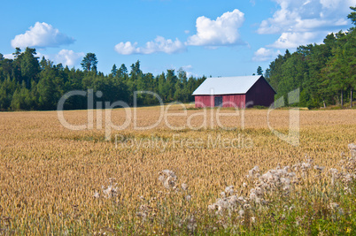 Red barn