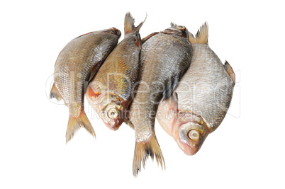 Several fresh freshwater fish