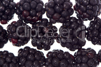 Blackberry background