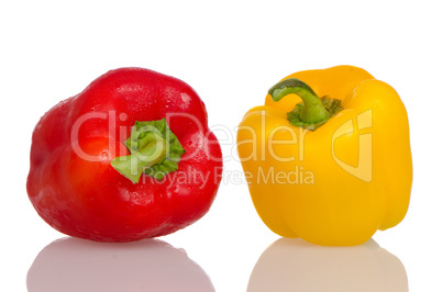 Two fresh peppers