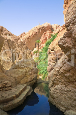 River between rocks in the oasis of Tozeur