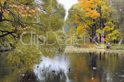 Autumn landscape. Russia