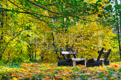 Autumn landscape. Bench in the park