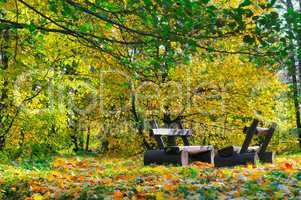 Autumn landscape. Bench in the park
