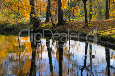 Autumn landscape. Russia