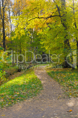 Autumn landscape. Russia