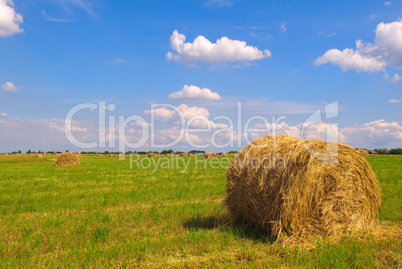 Straw bales on field