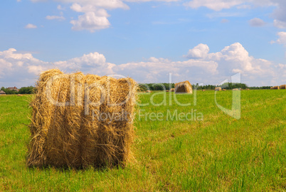 Straw bales on field