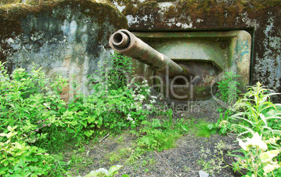 Old abandoned military pillbox with a tank cannon.