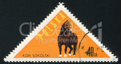 poststamp