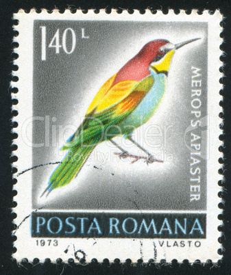 poststamp bird