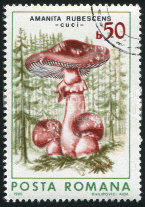 poststamp