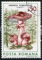 poststamp