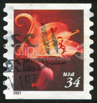 stamp flower