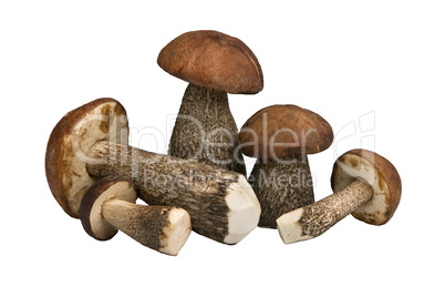 mushrooms