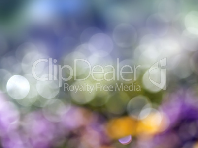 natural bokeh background