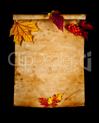 Old paper with autumn leaves, autumn note