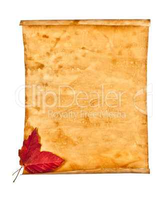 Old paper with autumn leaves, autumn note