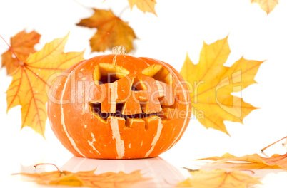 halloween, old jack-o-lantern on white