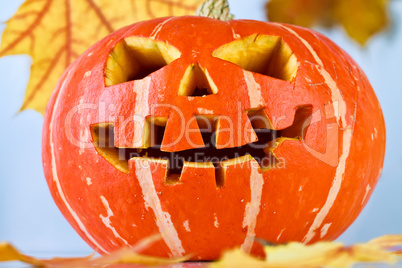 halloween, old jack-o-lantern on blue