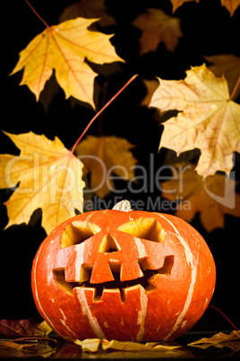 halloween, old jack-o-lantern on black