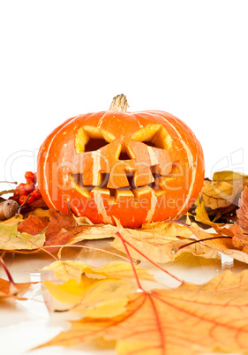 halloween, old jack-o-lantern on white