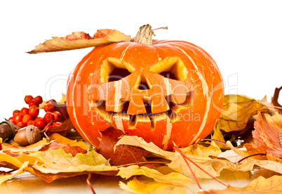 halloween, old jack-o-lantern on white