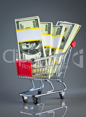 shopping cart and money